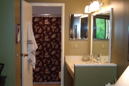Baño principal/vestidor - 1571 W Pond Dr
