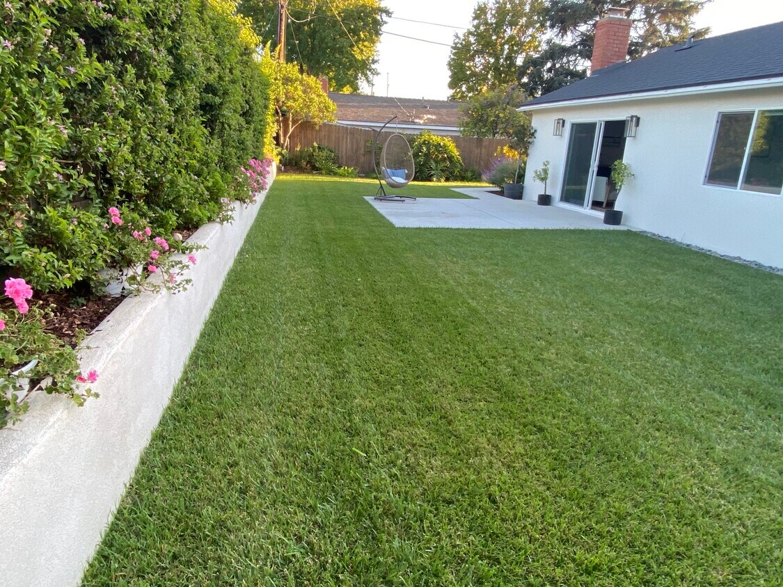 Amplio patio enorme y exuberante, muy privado. - 286 N Kellogg Ave