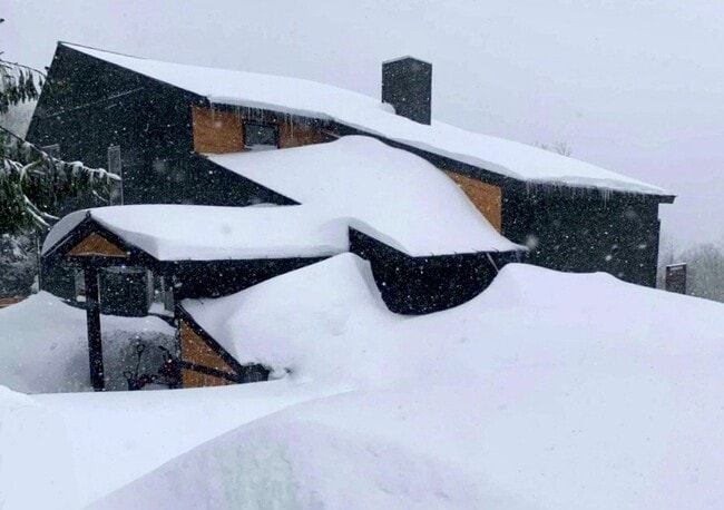 Building Photo - 296 Wentworth Rd