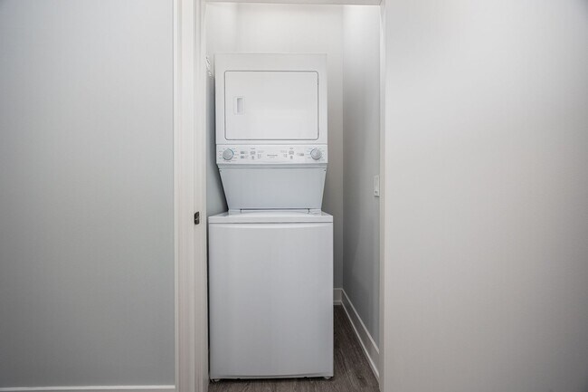 Interior Photo - The Frisbie