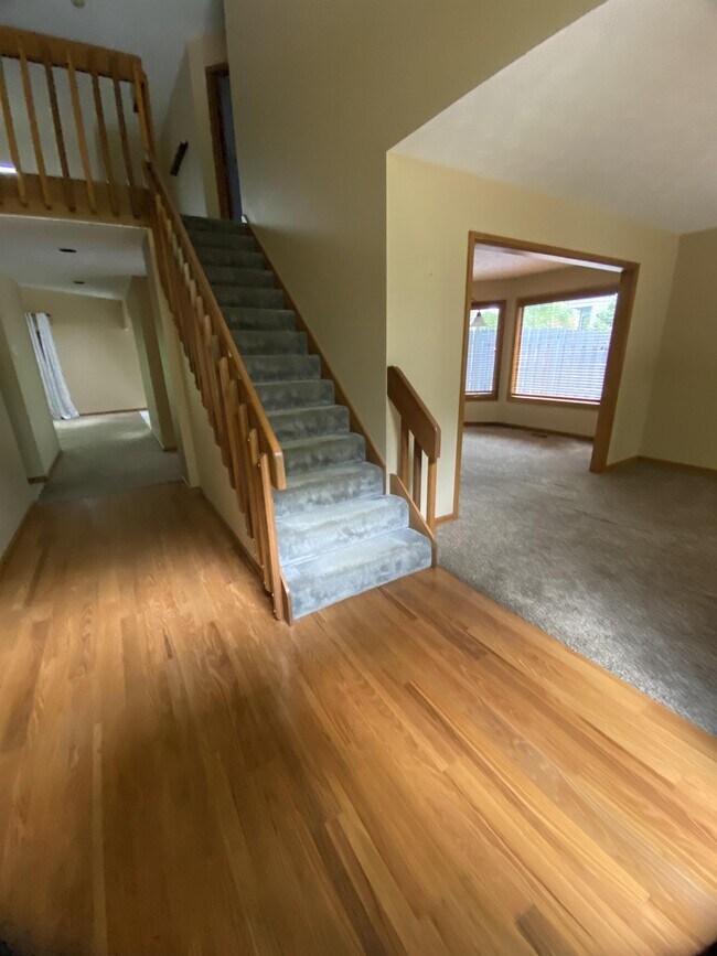 923 Wind Forest Dr, Springboro, OH 45066 House for Rent in Springboro