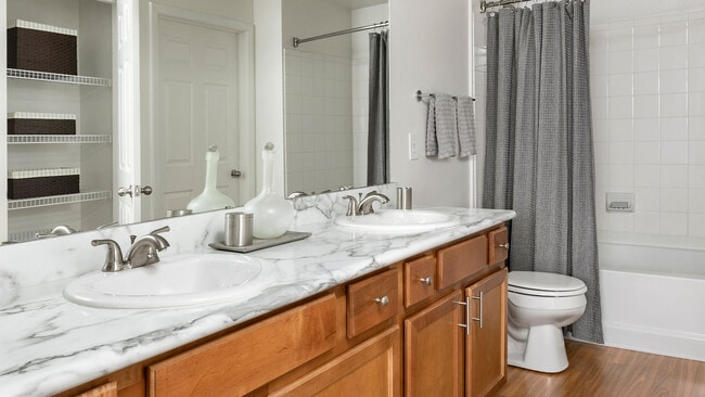 Interior Photo - Griffis Fitzsimons South