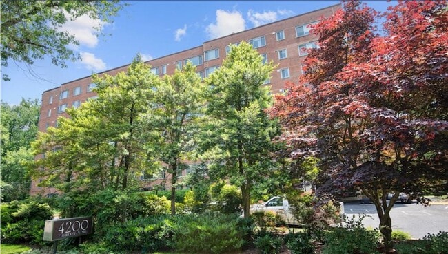 Tree-lined street - 4200 Cathedral Ave NW