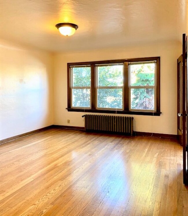 Interior Photo - Catalina Apartments