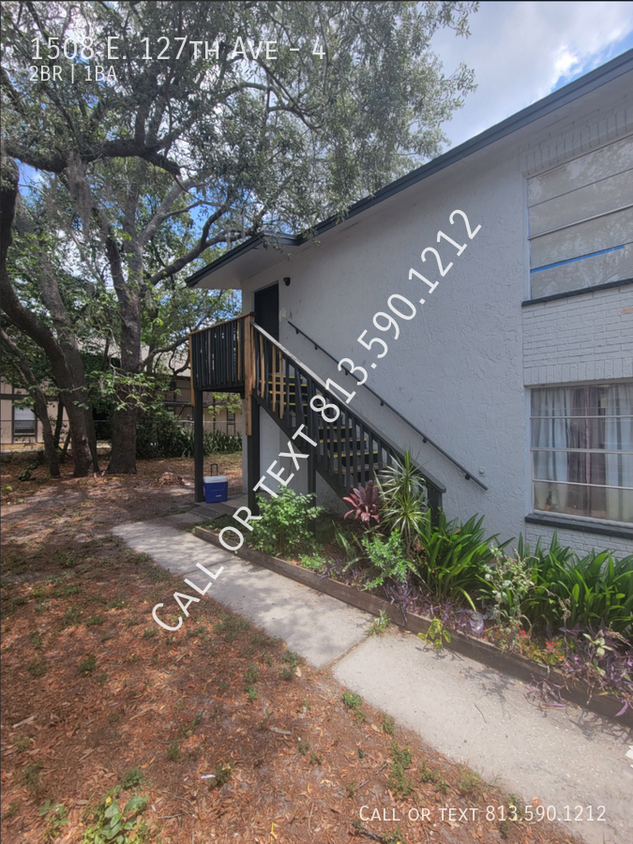 Primary Photo - Cozy Tampa Apartment