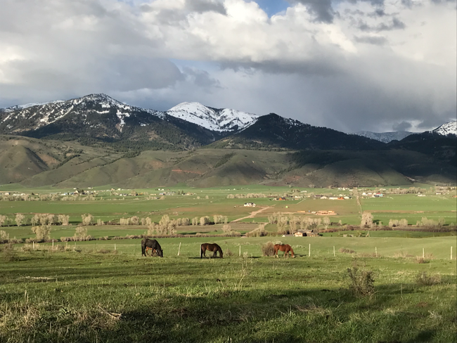 2167 Bitter Creek Rd, Fairview, WY 83119 - House Rental in Fairview, WY ...