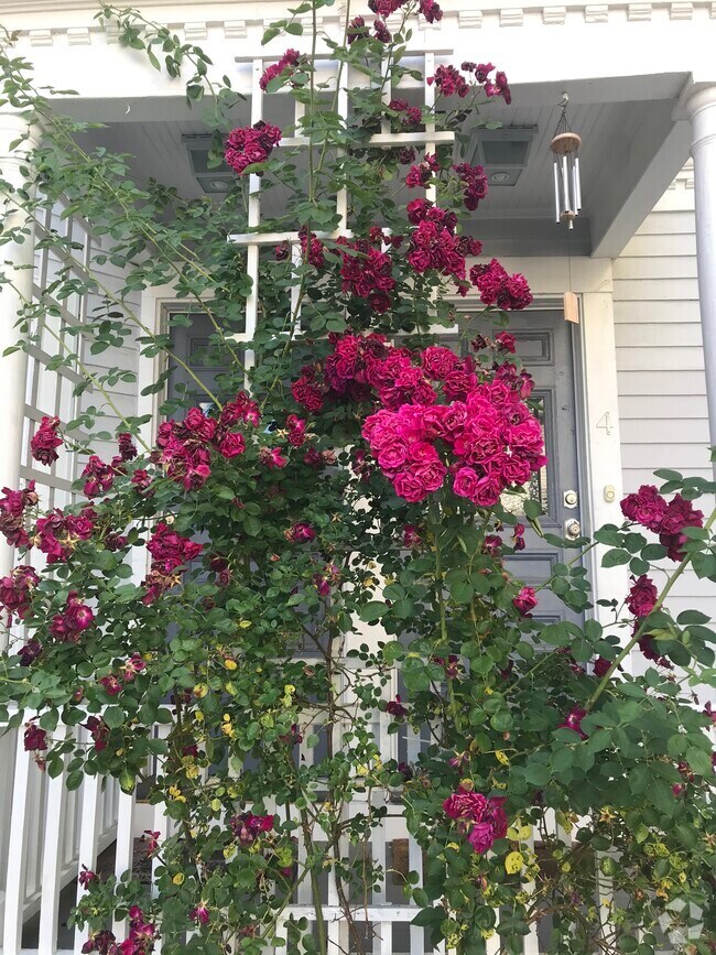 Porter Square Apartments for Rent Cambridge, MA 482 Rentals