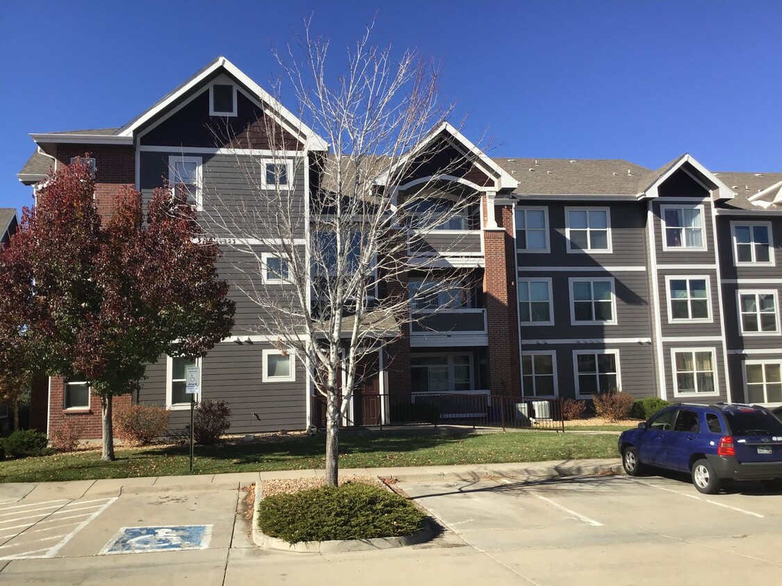 Primary Photo - Large 2 bed, 2 bath condo for rent near An...