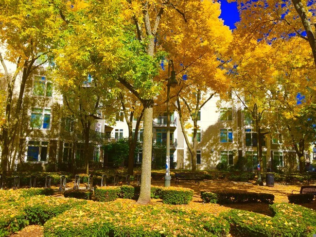 Foto del edificio - 13 Cameron Ave