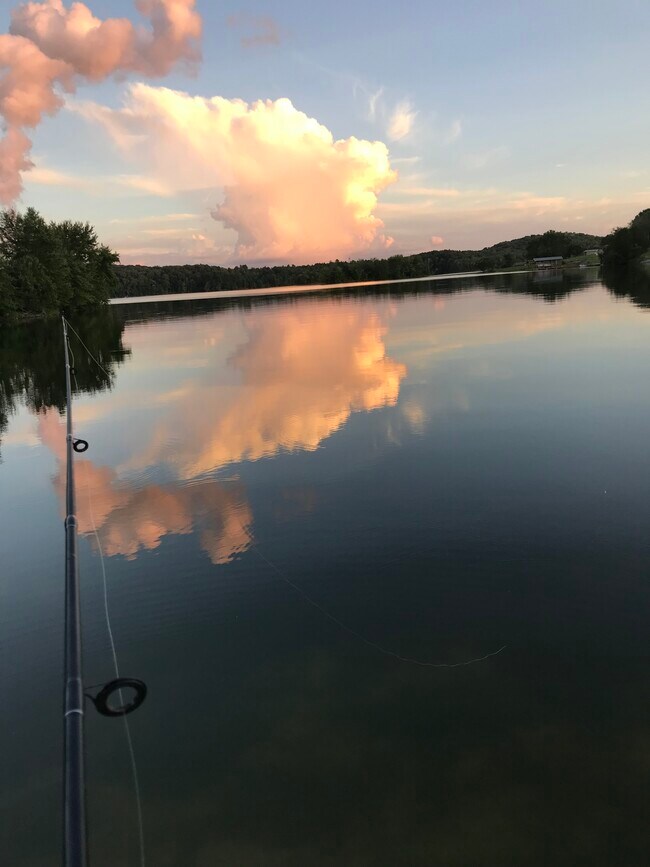 Foto del edificio - 558 Pin Hook Rd