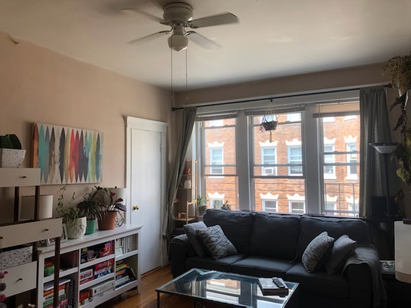 Primary Photo - 213 Kelton St