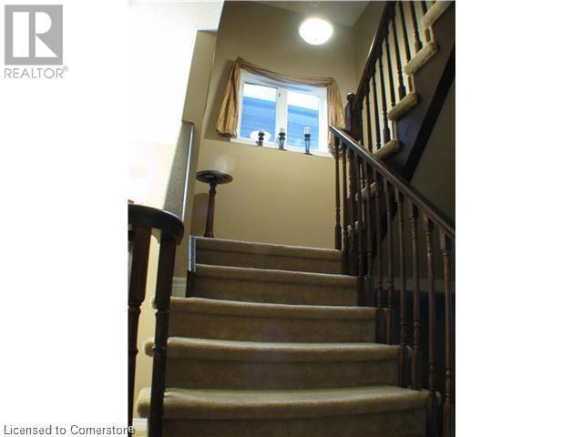 Building Photo - 11 Saybrook Gardens
