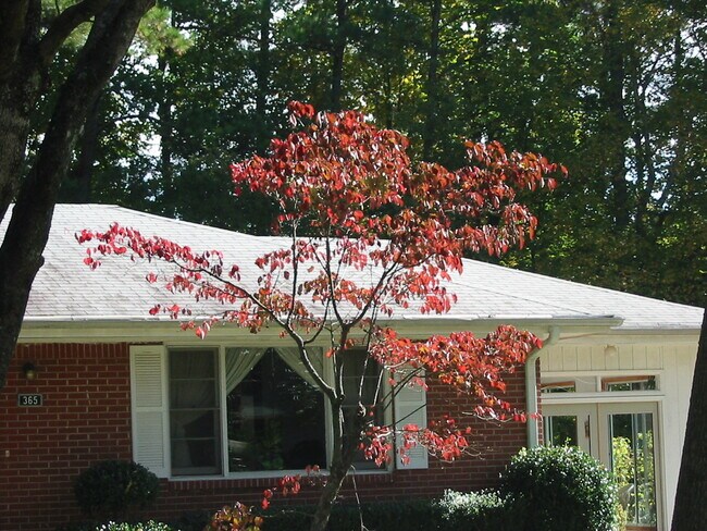 Foto del edificio - 365 Terrydale Dr SE