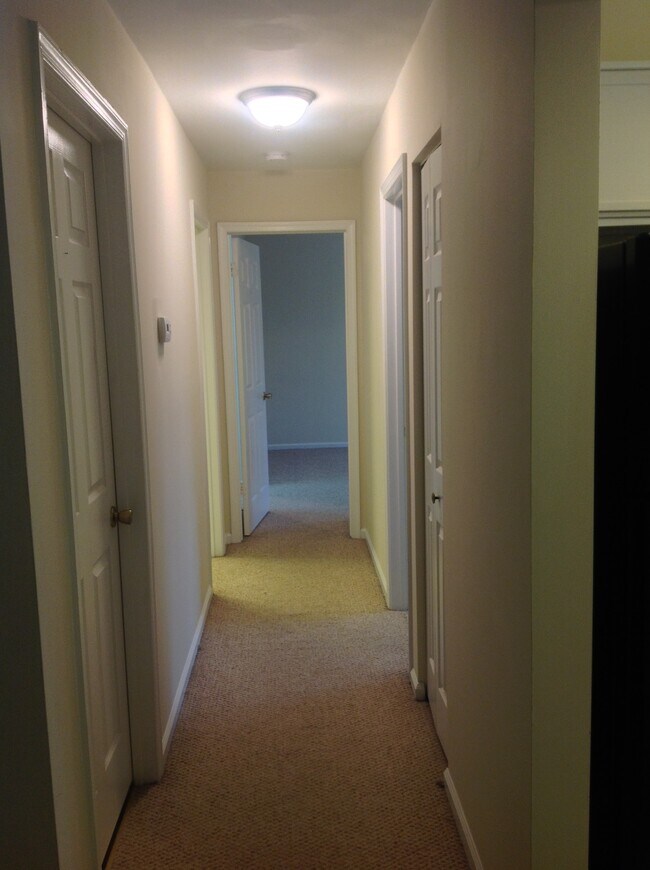 Hallway - 9560 Cannoneer Ct