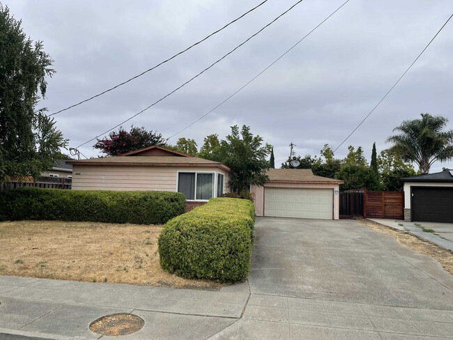 Building Photo - 35459 Breton Dr