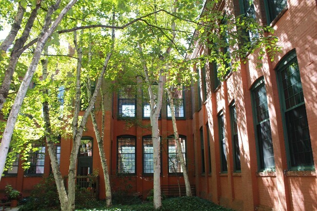 Interior courtyard birch trees - 25 Grand St Apartment
