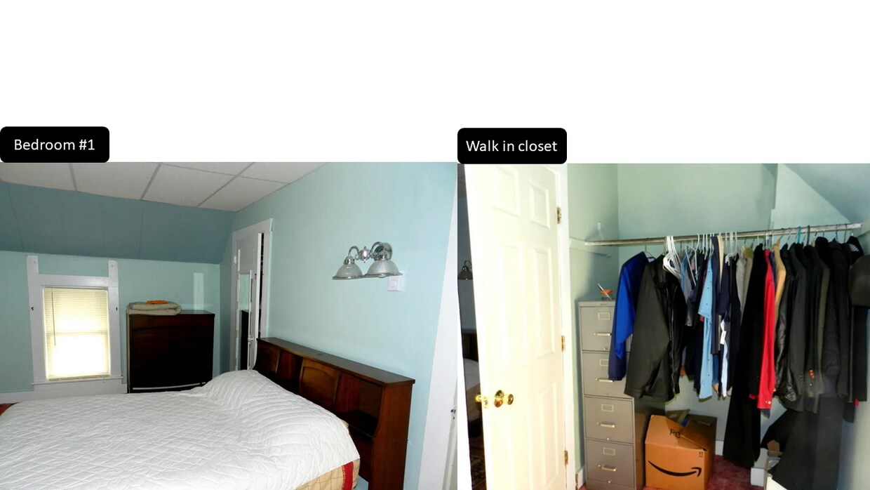 main bedroom with walk in closet - 1102 Pettibone St
