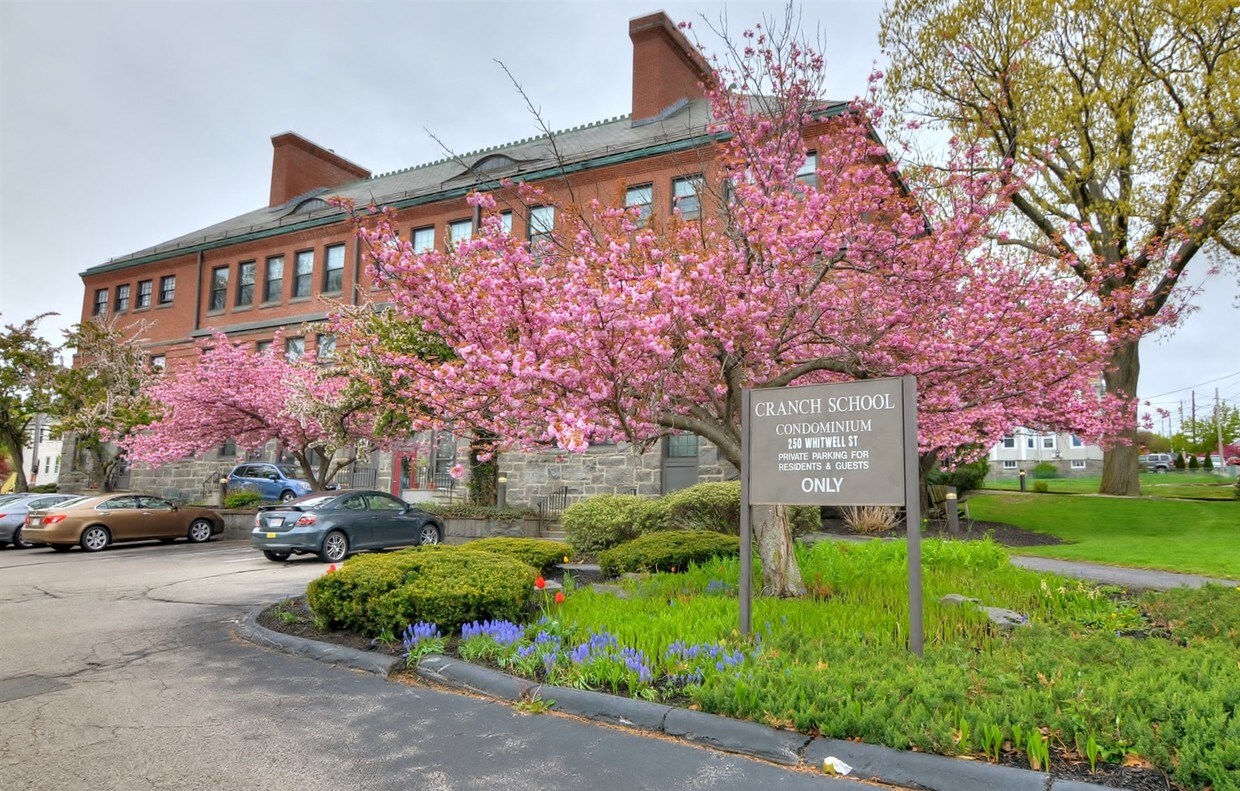 Primary Photo - 250 Whitwell St
