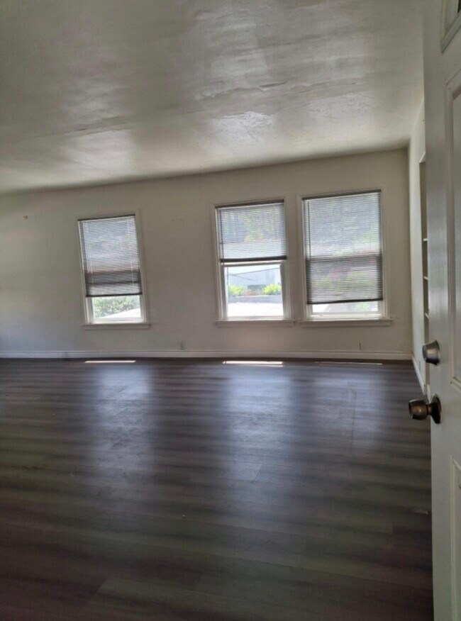Living room - 808 E Palmer Ave