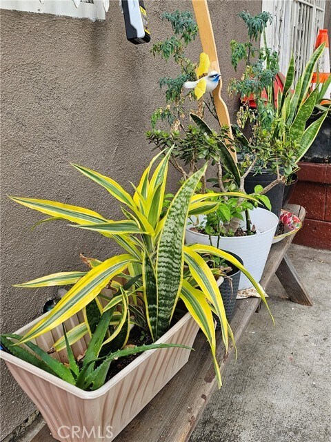 Foto del edificio - 166 E 36th Pl