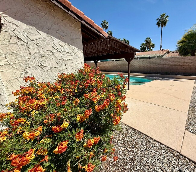 Building Photo - Spacious Pool Home In the Desired Los Comp...