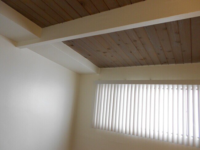 HIGH CEILINGS - 10847 Hortense St
