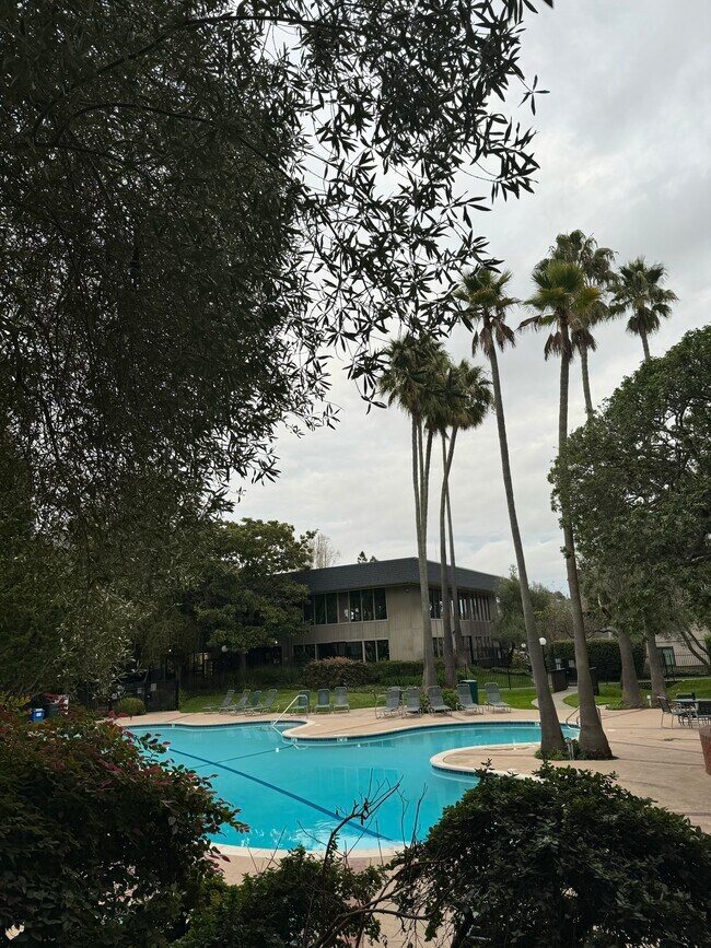 Foto del edificio - 6117 Shelter Creek Ln