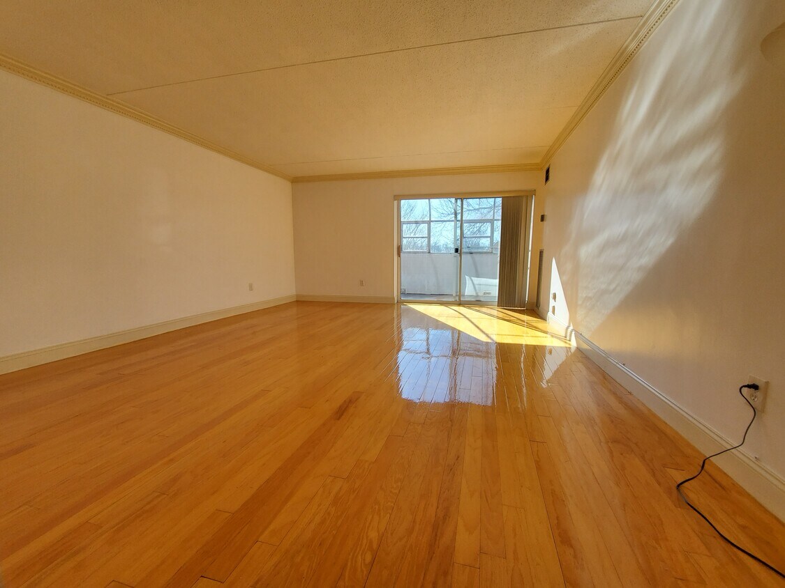 50 Broadlawn Park Unit 507, Chestnut Hill, MA 02467 Condo for Rent in