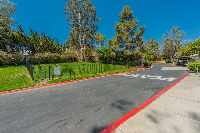 Foto principal - 311 Weston Cir