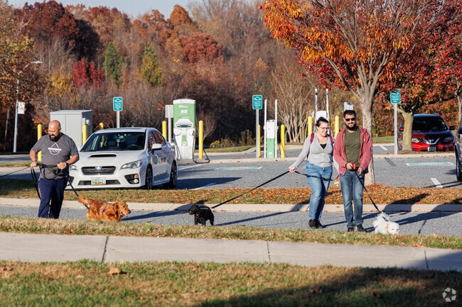 With its many greenspaces and well paved sidewalks Nottingham is popular with pet owners.