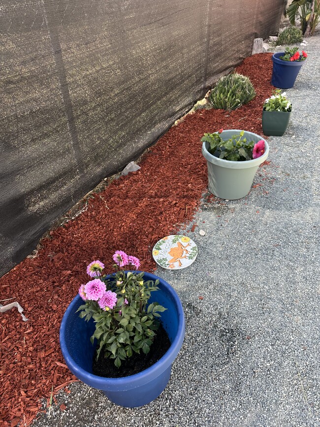 Garden Area - 1465 9th St