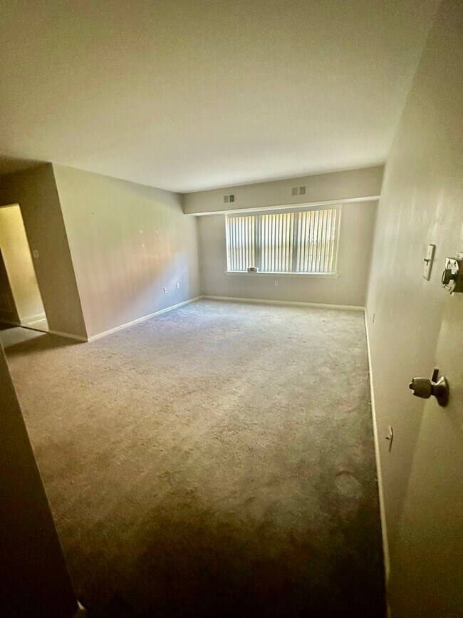 Living Room - 822 South Ave