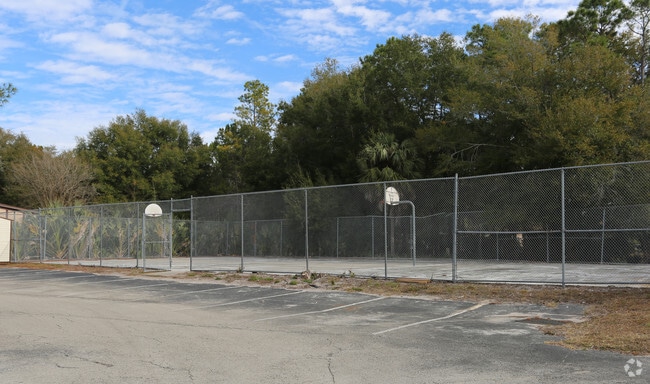 Basketball Court - Grassy Pond