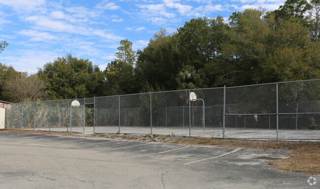 Cancha de básquetbol - Grassy Pond