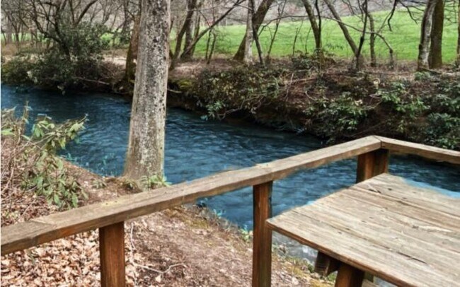Building Photo - 2 bedroom in Mineral Bluff GA 30559
