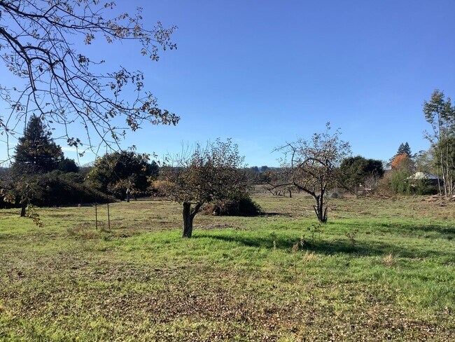 Foto del edificio - 2 bed, 2 bath Country Property