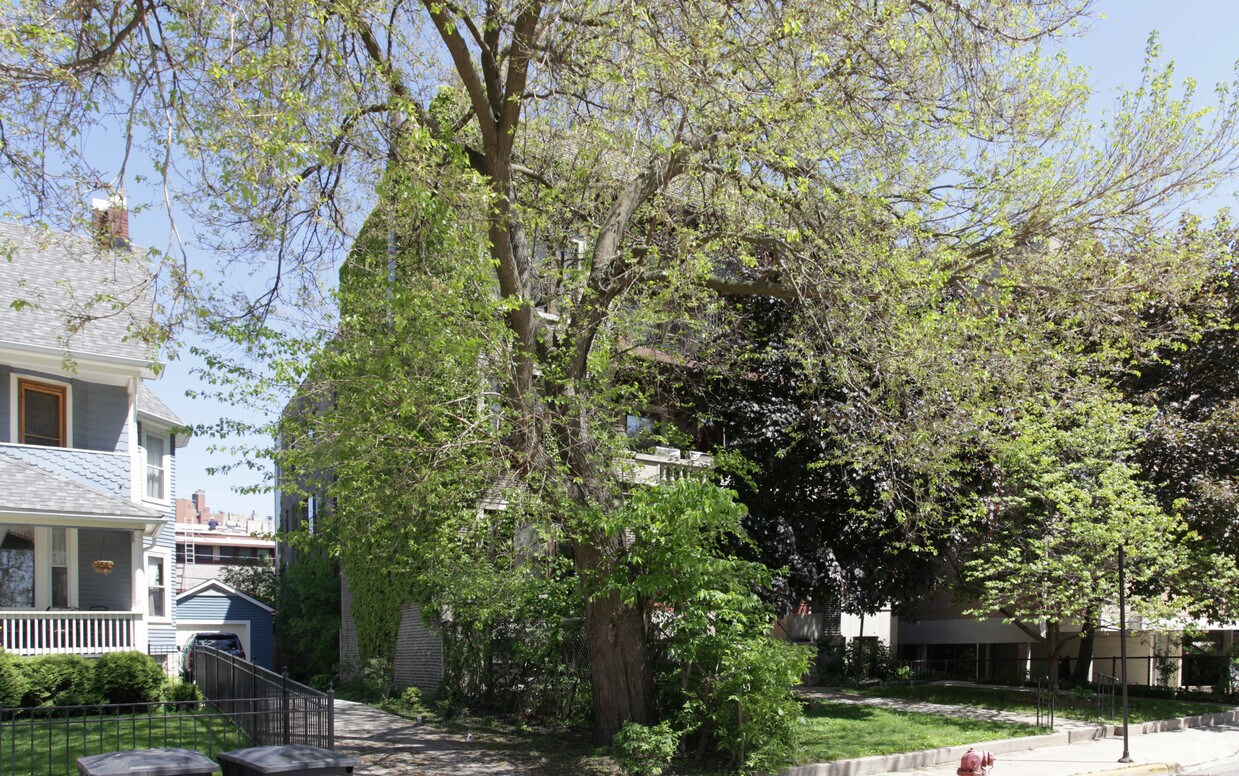 Foto principal - 4933-4935 S Dorchester Ave