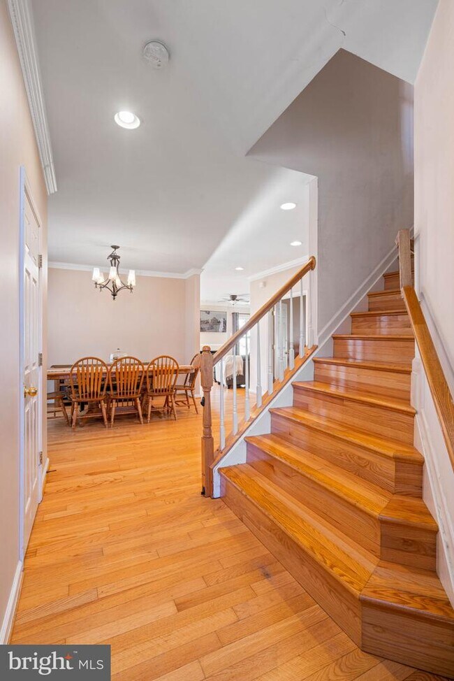 4705 Manor Dr, Alexandria, VA 22309 House Rental in Alexandria, VA