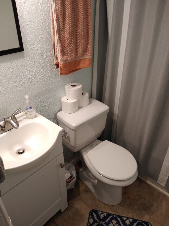 Bathroom with Tub and Shower - 1238 South Brook Street