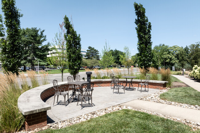 Picnic Area - The Winston at Lyndhurst