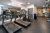 Located at The Landings Riverside Living in Knoxville, Tennessee, this single-floor fitness center offers a well-equipped and visually dynamic space designed to motivate and support a full-body workout routine. The facility is divided into distinct functional zones, each outfitted with professional-grade Matrix equipment. The cardio area features multiple treadmills, elliptical machines, and stationary cycling bikes, complemented by a floor-to-ceiling mirror wall displaying the community's branded neon sign. A dedicated strength training zone houses a multi-station cable machine, a weight bench, and a comprehensive dumbbell rack with a wide range of free weights. Durable rubber flooring throughout provides both safety and comfort during workouts. Ceiling fans and recessed lighting create a bright, comfortable environment, while windows allow natural light to filter into the space. The standout design element is a bold, full-wall photo collage mural celebrating Tennessee's culture, landscapes, and landmarks — adding an energetic, locally inspired character to the gym. A posted fitness schedule and additional storage equipment complete the practical amenities of this community fitness center.