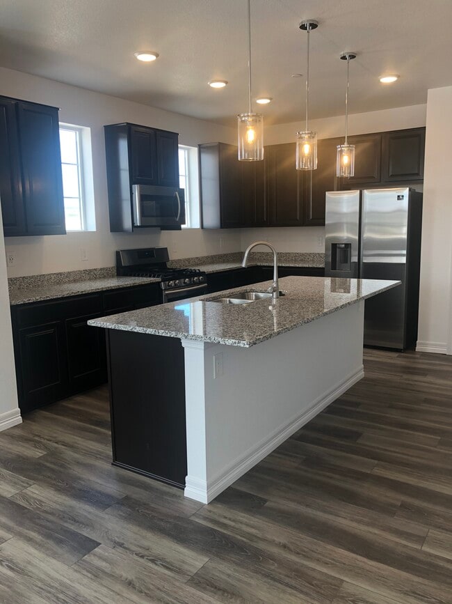 Gorgeous, modern kitchen with pantry! - 1881 Spring Water Pt