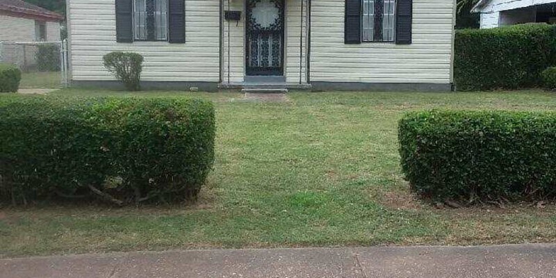 Primary Photo - 457 King Avenue
