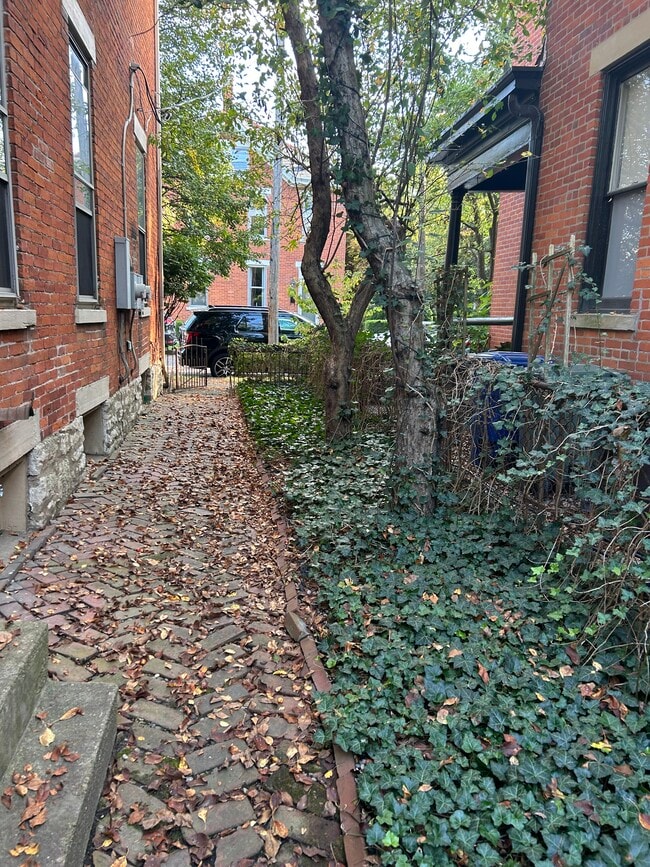Side yard - 114 E Kossuth St