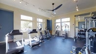 This fitness room offers a bright and functional workout environment designed to support a range of exercise routines. The space is finished with durable blue rubber flooring, providing a practical and resilient surface suited for gym use. Tall windows line multiple walls, allowing generous amounts of natural light to fill the room while offering views of the surrounding greenery, creating an open and energizing atmosphere.

The ceiling is notably elevated, contributing to the airy feel of the space, and is outfitted with track lighting to ensure even illumination throughout. A large ceiling fan with an industrial-style design hangs centrally, promoting air circulation during workouts.

The equipment selection includes treadmills, an elliptical trainer, and a multi-station cable and weight machine, accommodating both cardiovascular and strength training needs. The layout is thoughtfully arranged to allow comfortable movement between stations without crowding. A deep blue accent wall adds a subtle visual contrast to the neutral beige walls, lending the space a clean, modern aesthetic. Overall, the fitness room is well-lit, ventilated, and equipped for diverse exercise needs.