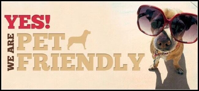 Foto del edificio - 417 Lincolnshire Dr