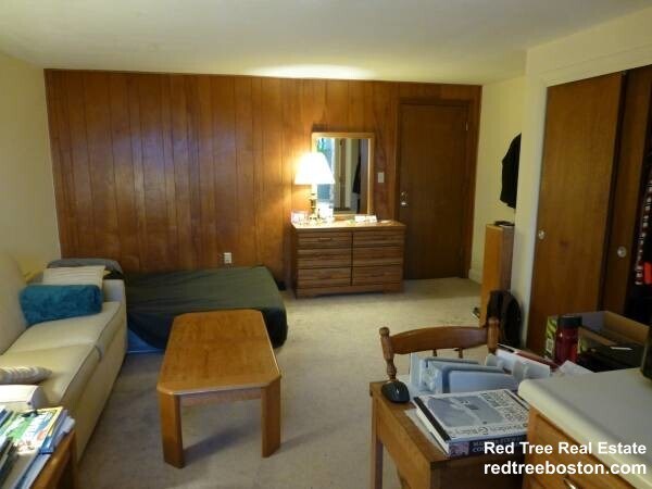 Photo - 9 Chester St Apartment