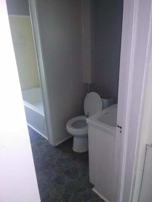 Foto del edificio - 513 Wetmore St, 3rd Fl Rear