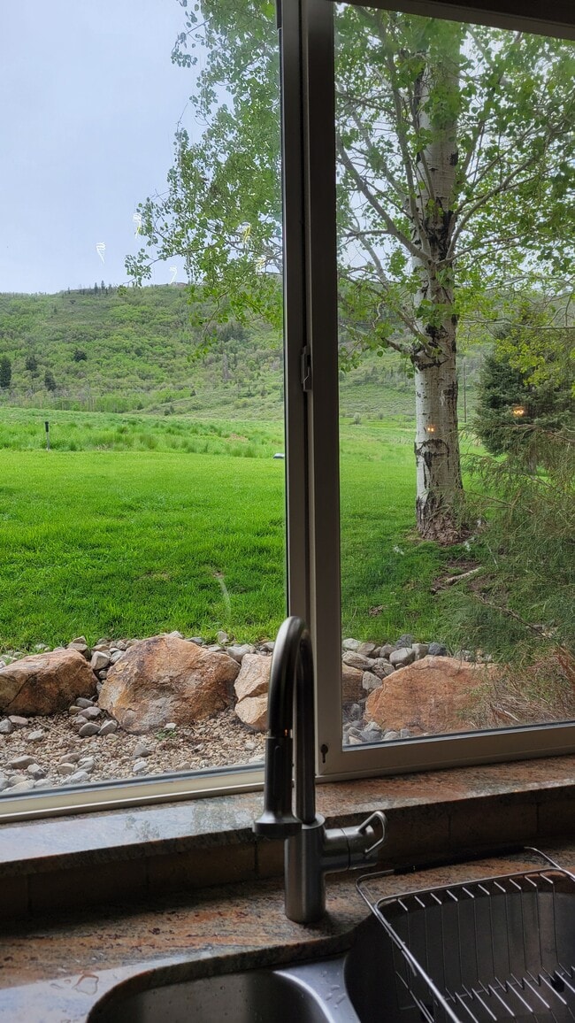 Open space ajoins front yard - 1600 Pinebrook Blvd