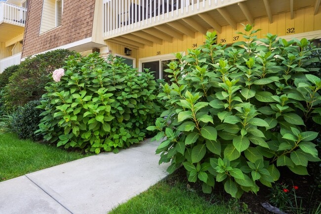 Building Photo - 61 Seaview Ave